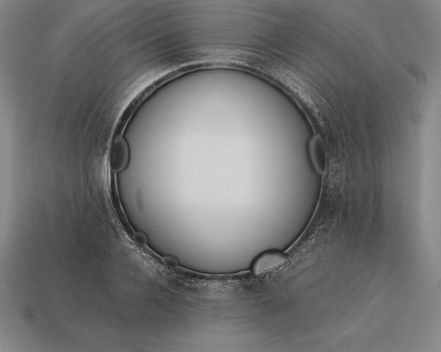 X0000113170936200909181829