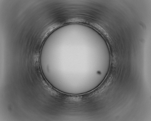 X0000113170937200909181829