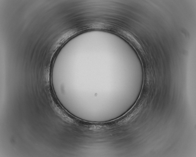 X0000113170938200909181829