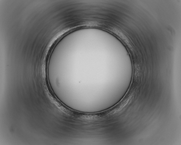 X0000113170939200909181829