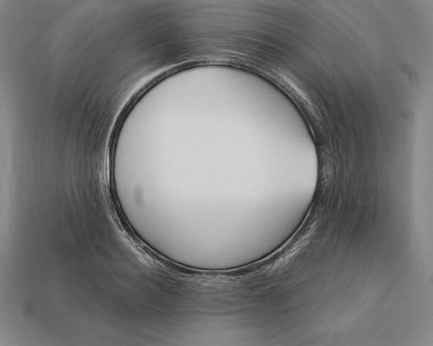 X0000113170940200909181829