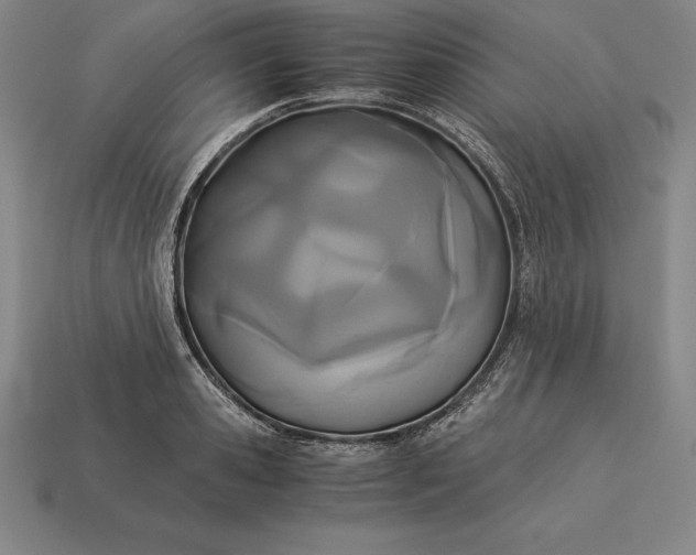 X0000113170941200909181829