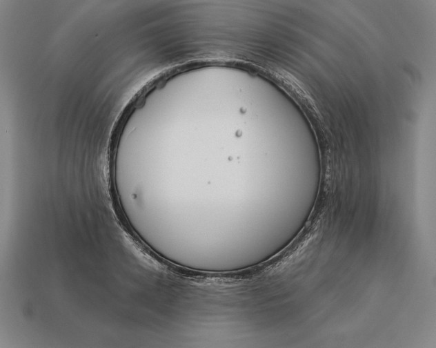 X0000113170942200909181829