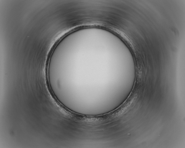 X0000113170943200909181829