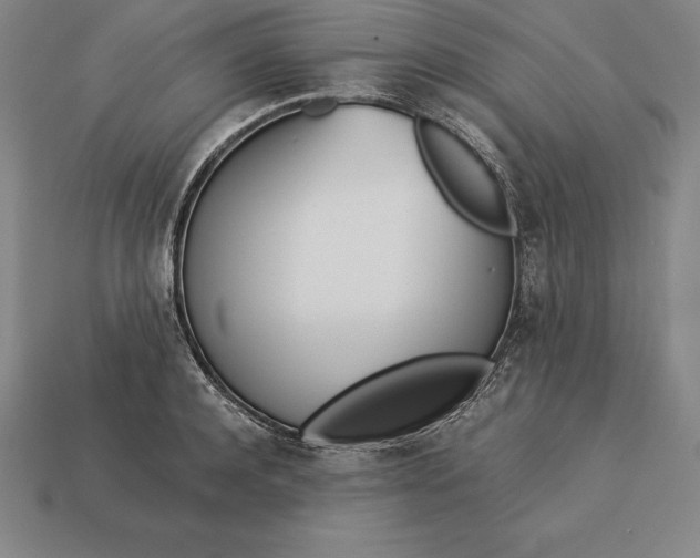 X0000113170944200909181829