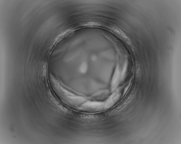 X0000113170945200909181829