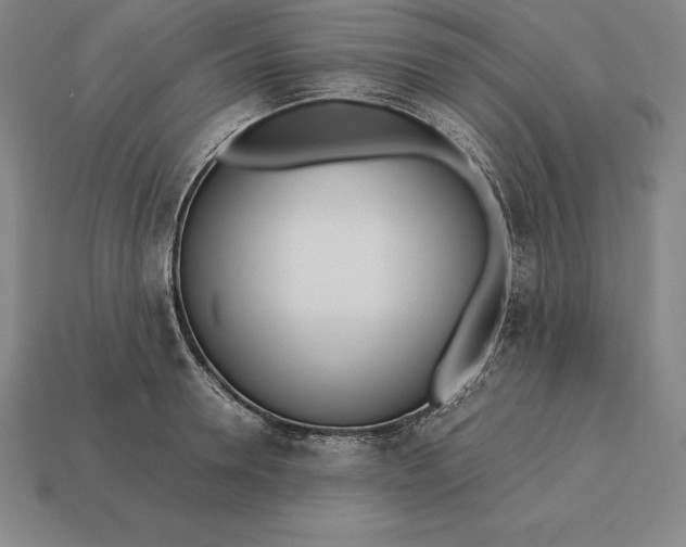 X0000113170946200909181829