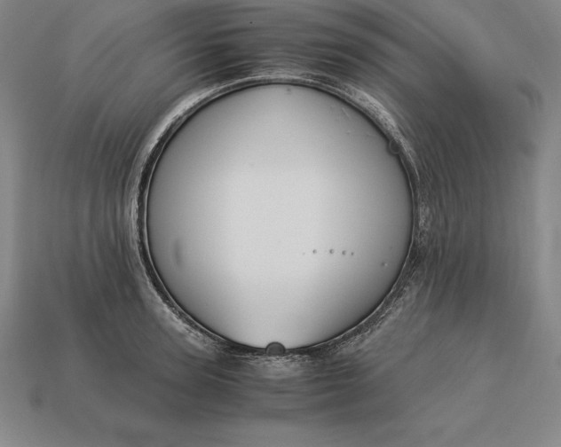 X0000113170947200909181829