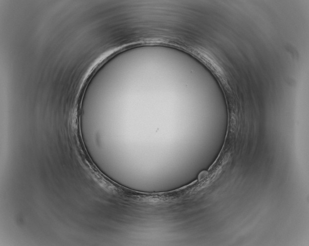 X0000113170948200909181829