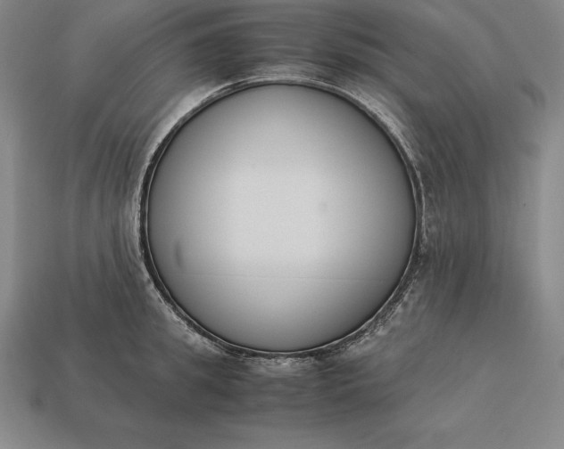 X0000113170949200909181829