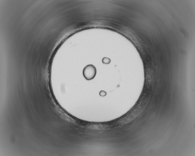 X0000113170950200909181829