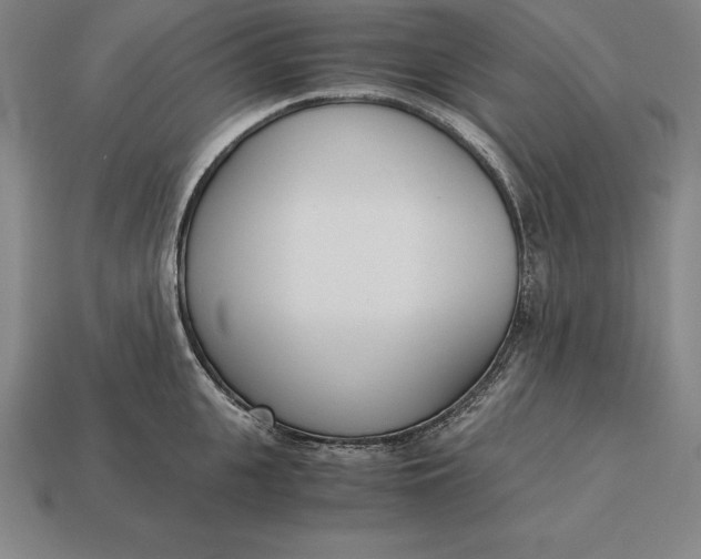 X0000113170951200909181829