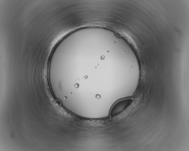 X0000113170952200909181829