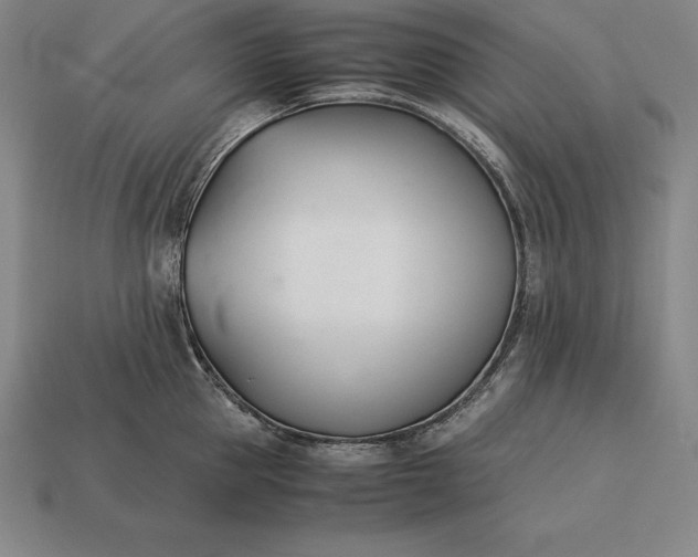 X0000113170953200909181829