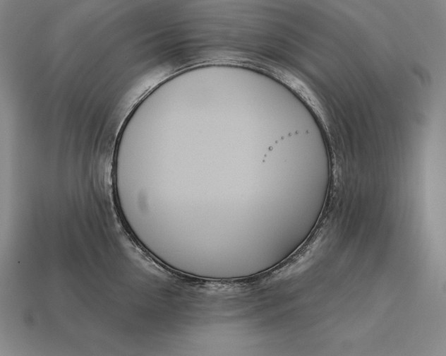 X0000113170954200909181829