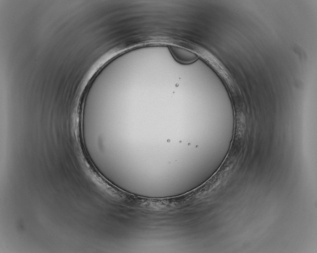 X0000113170955200909181829