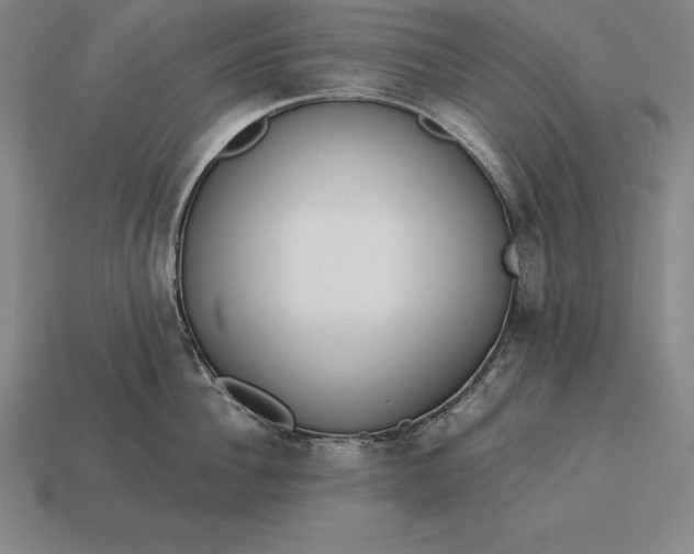 X0000113170956200909181829