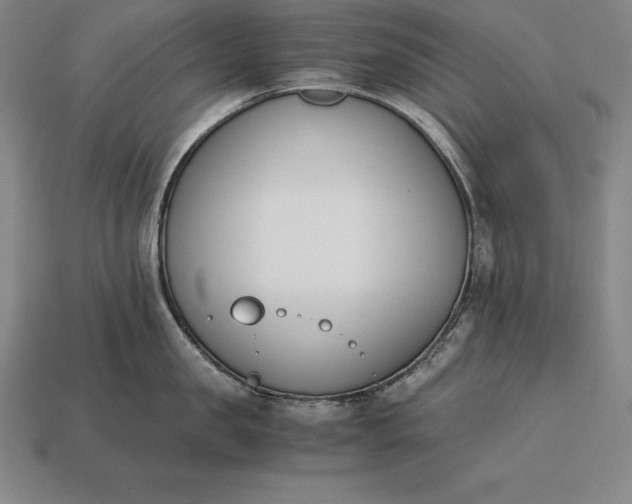 X0000113170957200909181829