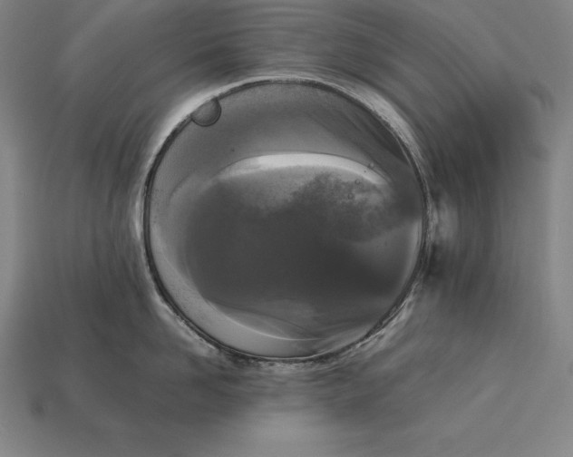 X0000113170958200909181829