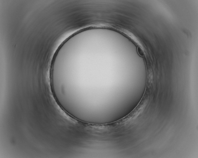 X0000113170959200909181829