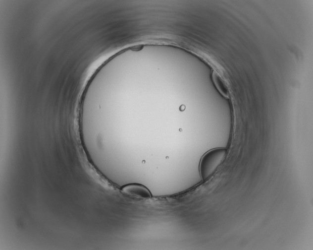 X0000113170960200909181829