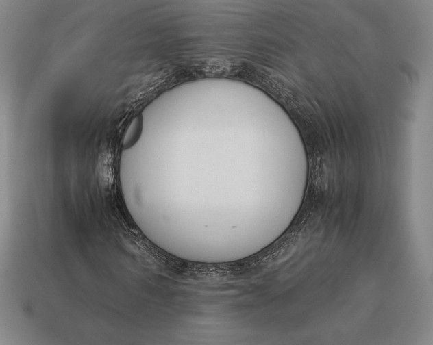 X0000113170962200909181828