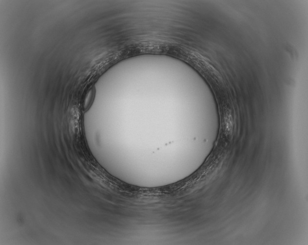 X0000113170964200909181828