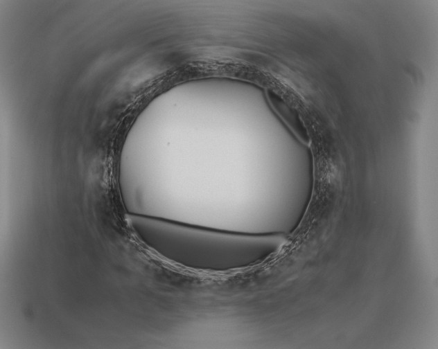 X0000113170965200909181828