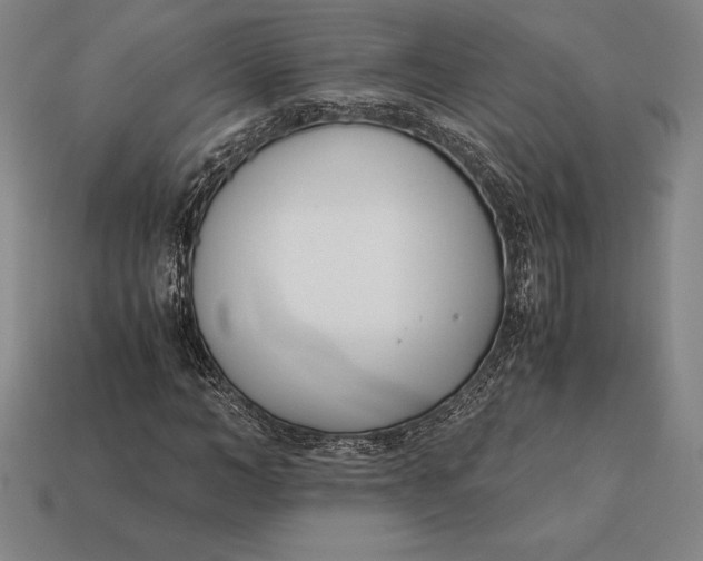 X0000113170966200909181828