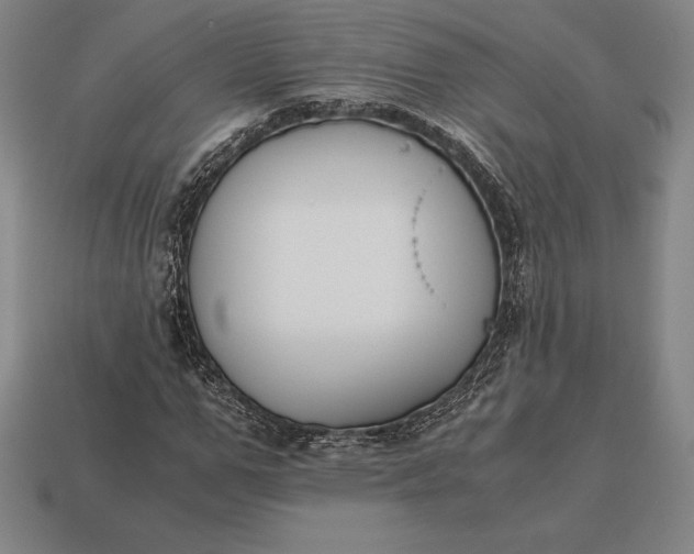 X0000113170967200909181828