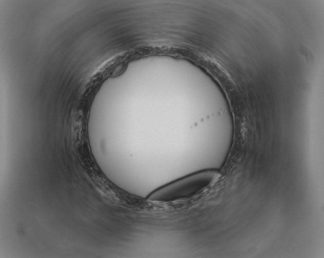 X0000113170968200909181828