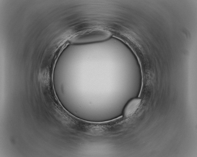 X0000113170969200909181828