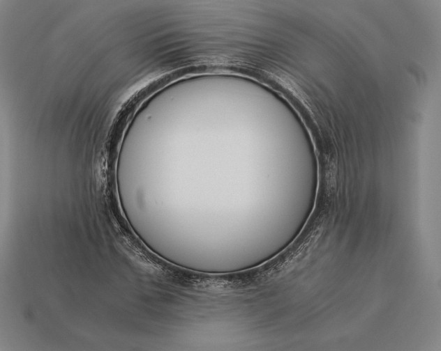 X0000113170971200909181828