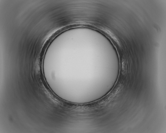 X0000113170972200909181828