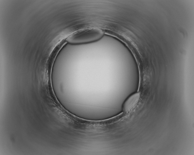 X0000113170973200909181828