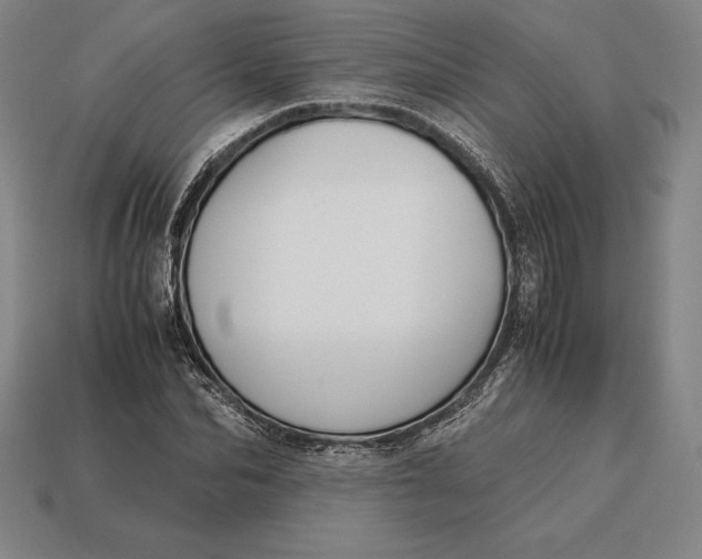 X0000113170974200909181828