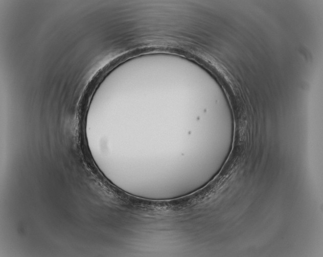 X0000113170975200909181828