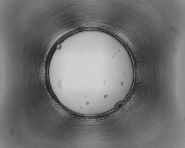 X0000113170976200909181828