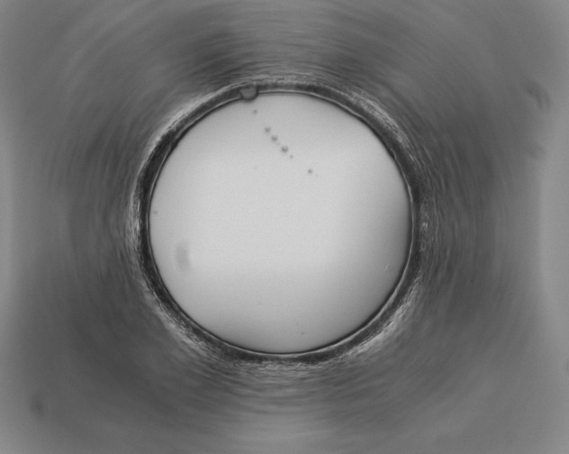 X0000113170981200909181828