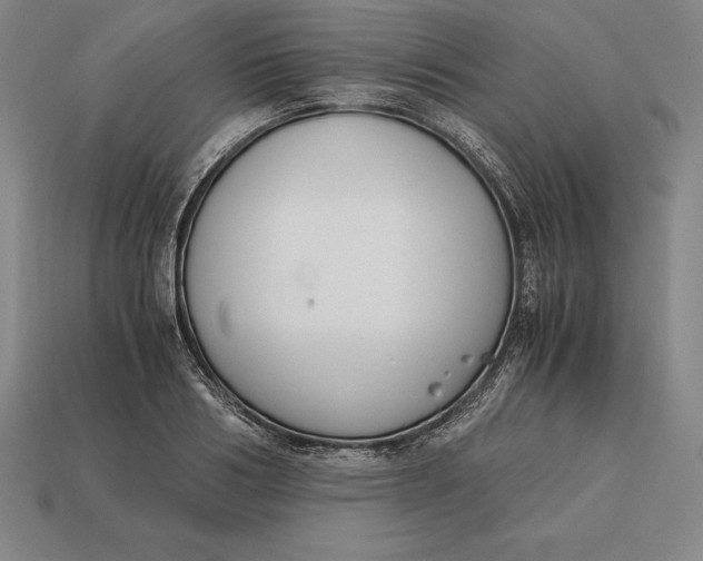 X0000113170986200909181828
