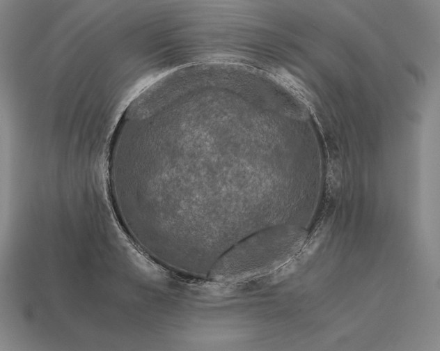 X0000113170989200909181828