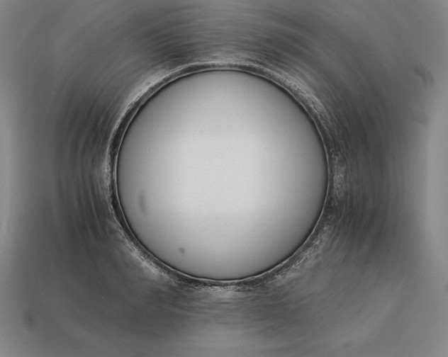 X0000113170990200909181828