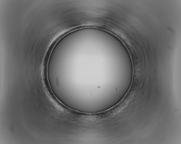 X0000113170991200909181828