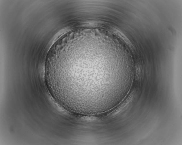 X0000113170994200909181828