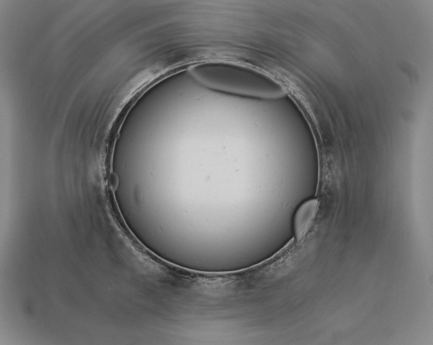 X0000113170997200909181828