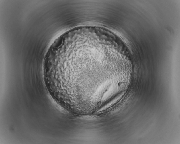 X0000113170998200909181828