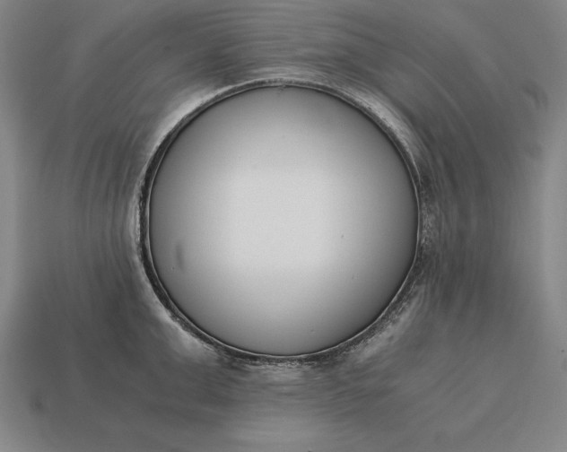 X0000113170999200909181828
