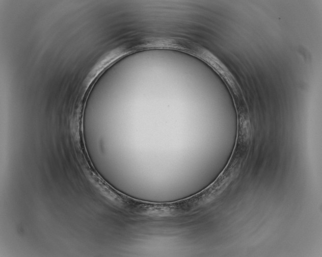 X0000113171002200909181828