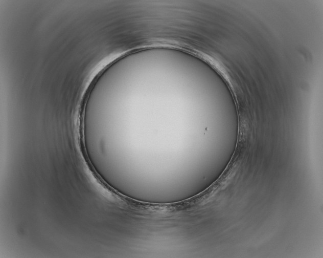 X0000113171003200909181828
