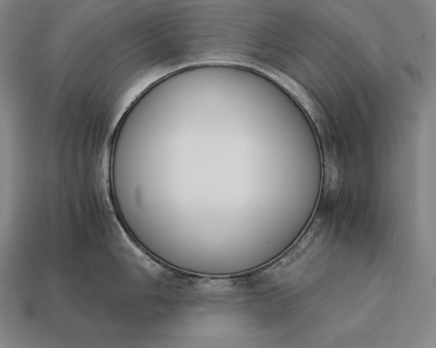 X0000113171006200909181828